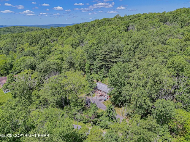 1135 Poplar Valley Rd E, Stroudsburg, PA 18360 - photo 48