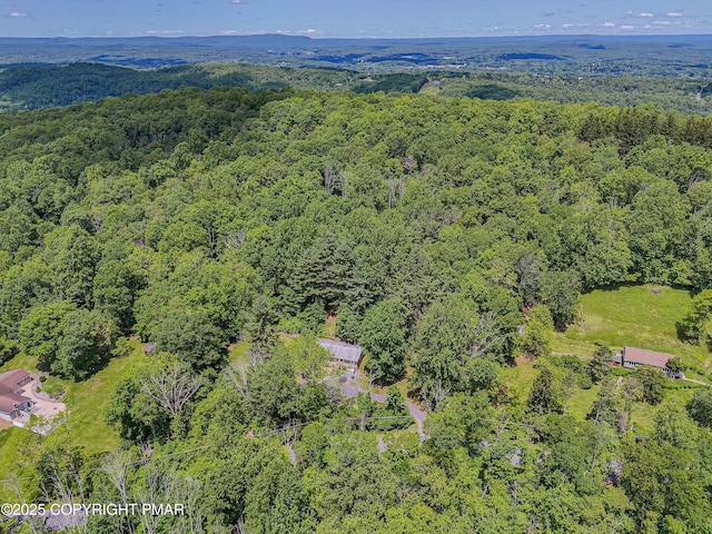 1135 Poplar Valley Rd E, Stroudsburg, PA 18360 - photo 49