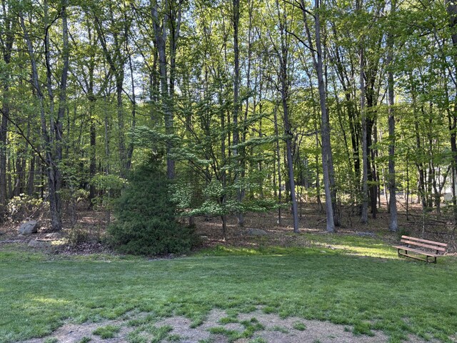 462 Plane St, Weatherly, PA 18255 - view of grassy yard