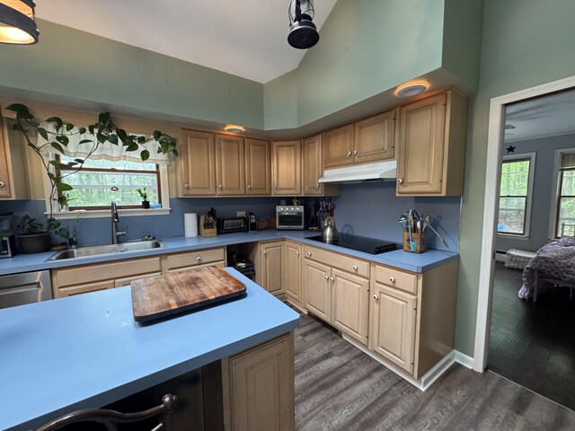 462 Plane St, Weatherly, PA 18255 - kitchen with a sink, black electric stovetop, under cabinet range hood, dark wood-style floors, and plenty of natural light