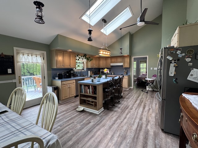 462 Plane St, Weatherly, PA 18255 - kitchen with stainless steel appliances, a skylight, under cabinet range hood, high vaulted ceiling, and light wood finished floors