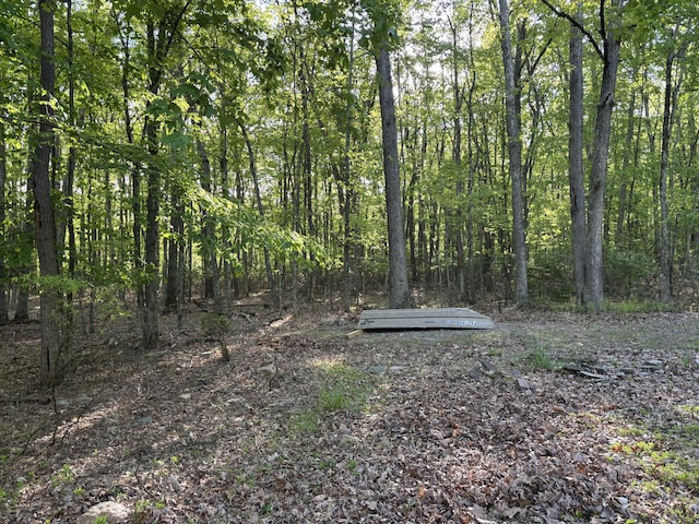 462 Plane St, Weatherly, PA 18255 - view of tree filled area