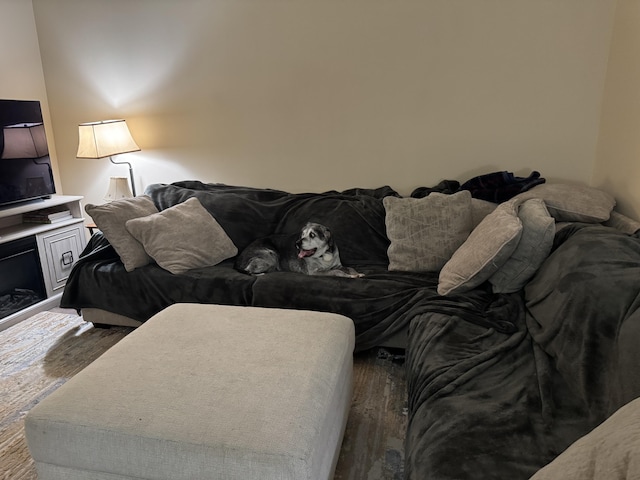 462 Plane St, Weatherly, PA 18255 - living room featuring wood finished floors