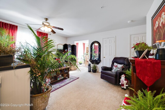 living room with a ceiling fan and carpet flooring