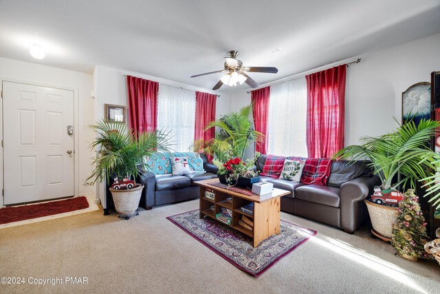 living area with a ceiling fan and carpet floors