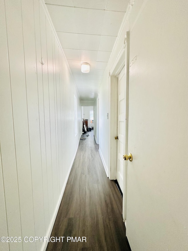 1201 Lehigh Ave, Allentown, PA 18103 - photo 32