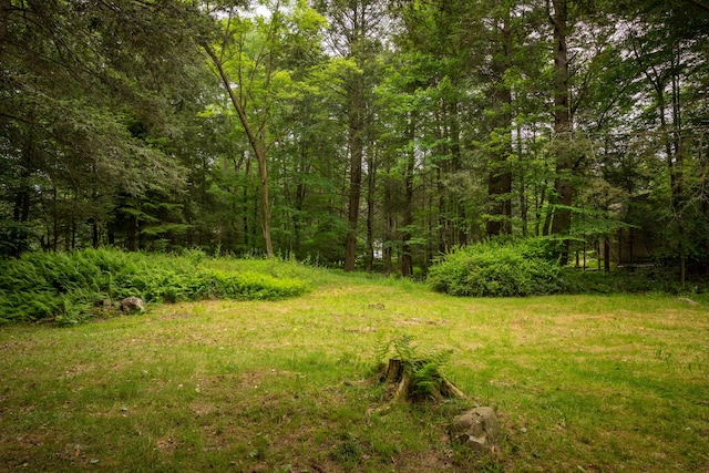 235 3rd St, Pocono Pines, PA 18350 - view of yard featuring a forest view