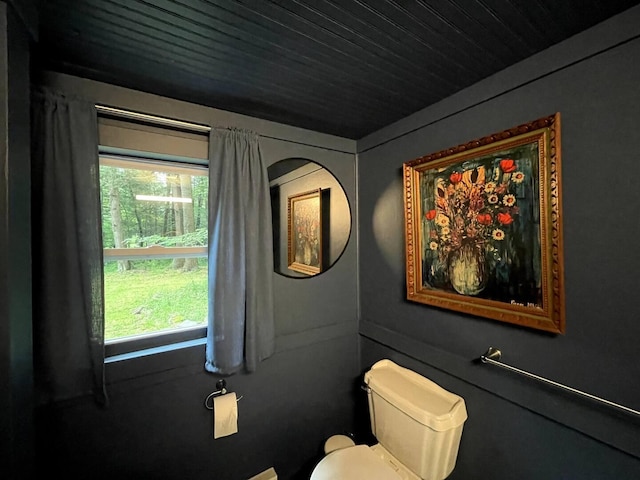 235 3rd St, Pocono Pines, PA 18350 - bathroom featuring plenty of natural light and toilet