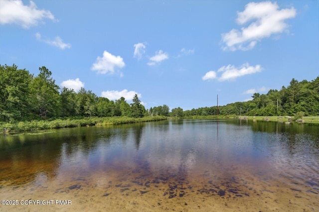 2112 Trout Pond Ct, Pocono Pines, PA 18350 - photo 59