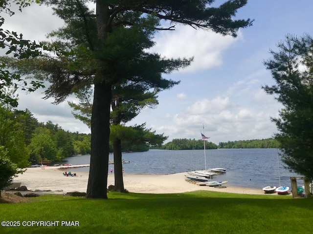 2112 Trout Pond Ct, Pocono Pines, PA 18350 - photo 62