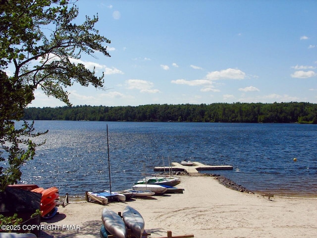 2112 Trout Pond Ct, Pocono Pines, PA 18350 - photo 63