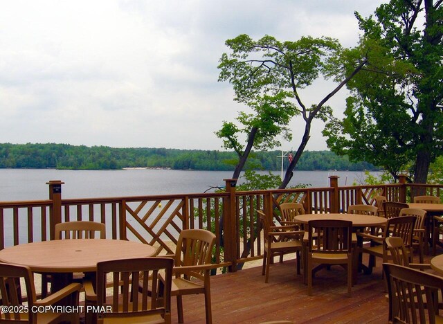 2112 Trout Pond Ct, Pocono Pines, PA 18350 - photo 61