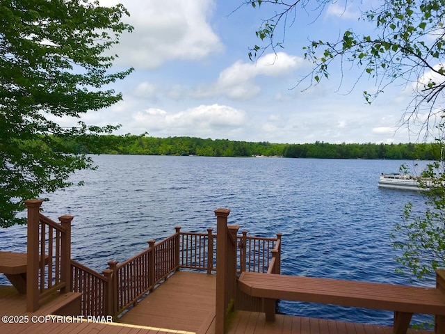 2112 Trout Pond Ct, Pocono Pines, PA 18350 - photo 65
