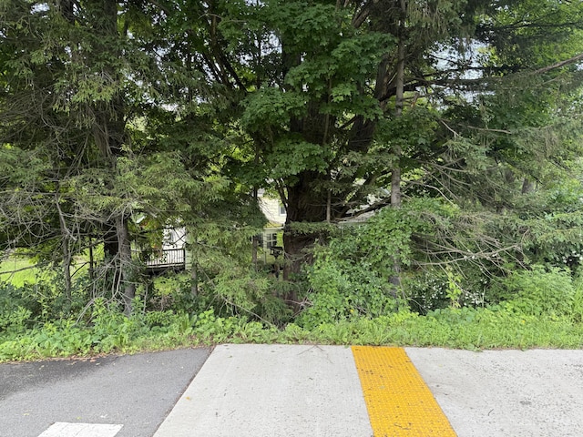 1177 Viaduct St, Susquehanna, PA 18847 - photo 7