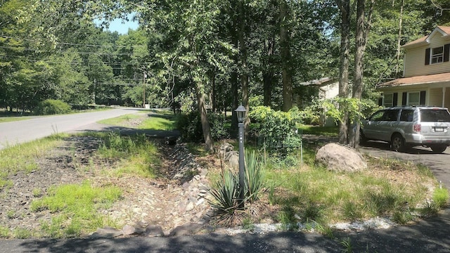 111 Brewster Way E, Stroudsburg, PA 18301 - view of asphalt street