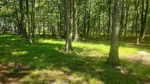 111 Brewster Way E, Stroudsburg, PA 18301 - view of local wilderness