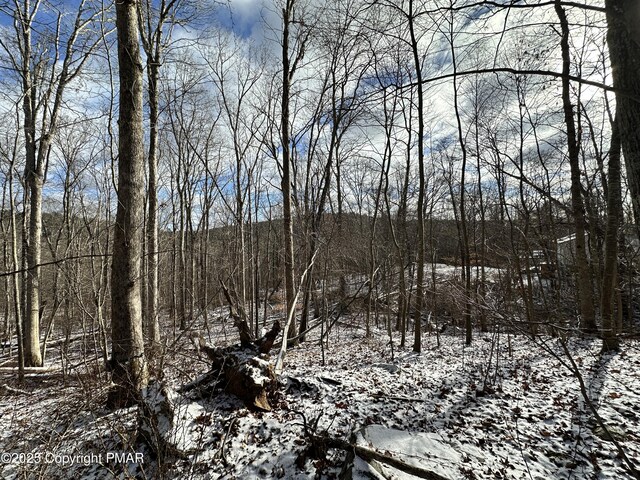 St Moritz Ct Unit 3F, Henryville, PA 18332