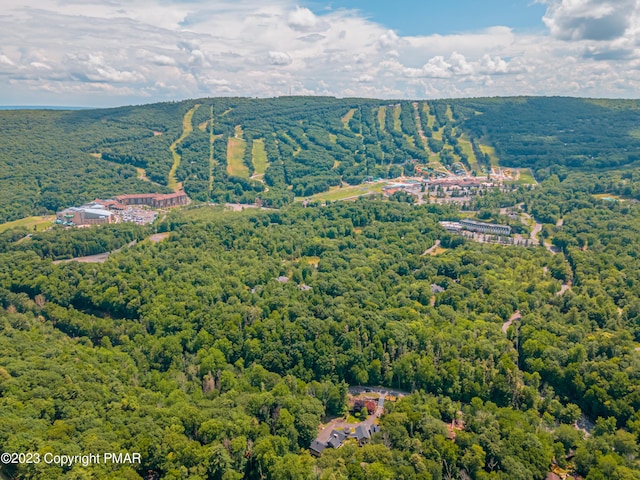 386 Camelback Rd, Tannersville, PA 18372 - birds eye view of property featuring a forest view