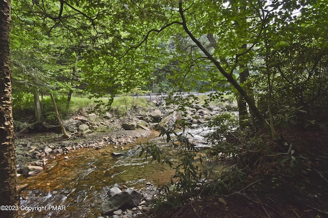 386 Camelback Rd, Tannersville, PA 18372 - view of landscape with a wooded view