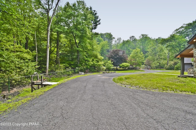 386 Camelback Rd, Tannersville, PA 18372 - view of road with a view of trees