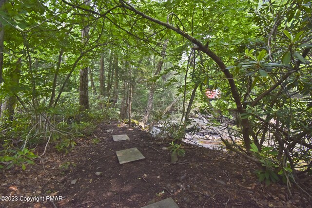 386 Camelback Rd, Tannersville, PA 18372 - view of nature