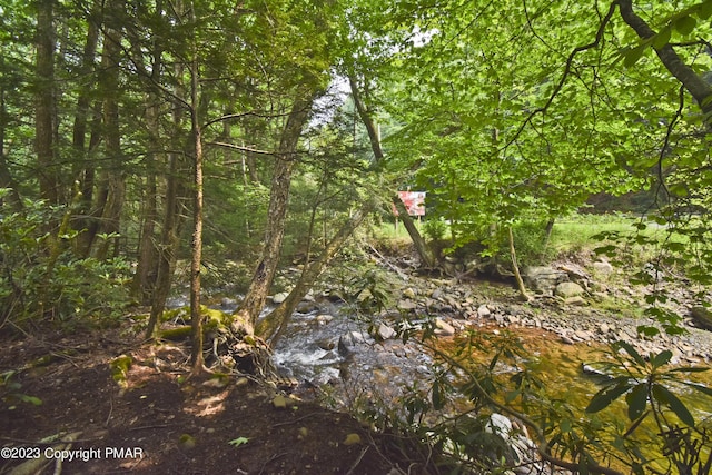386 Camelback Rd, Tannersville, PA 18372 - view of nature featuring a wooded view