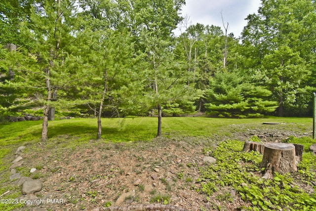 386 Camelback Rd, Tannersville, PA 18372 - view of yard