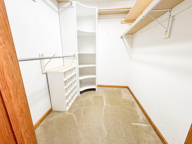 3708 Bayberry Dr, Danielsville, PA 18038 - spacious closet with carpet