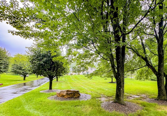 3708 Bayberry Dr, Danielsville, PA 18038 - surrounding community with a lawn