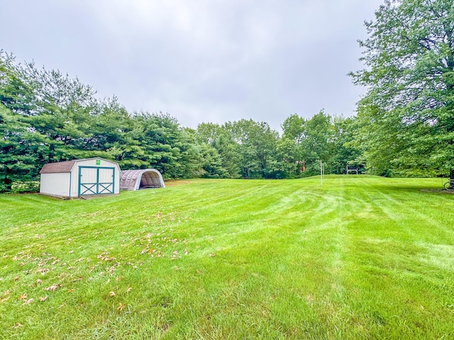3708 Bayberry Dr, Danielsville, PA 18038 - view of grassy yard with a storage unit and a forest view