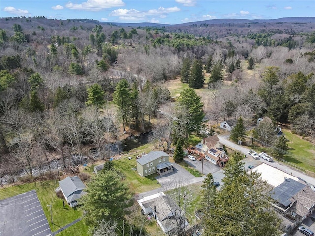 109 Silver Ln, Cresco, PA 18326 - aerial view of property's location with a forest