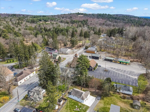 109 Silver Ln, Cresco, PA 18326 - aerial overview of property's location featuring a forest