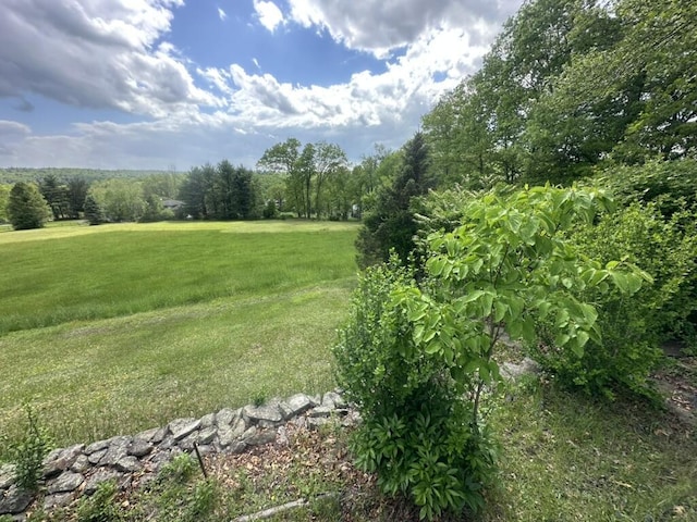 115 Heights Ct, Stroudsburg, PA 18360 - view of green lawn