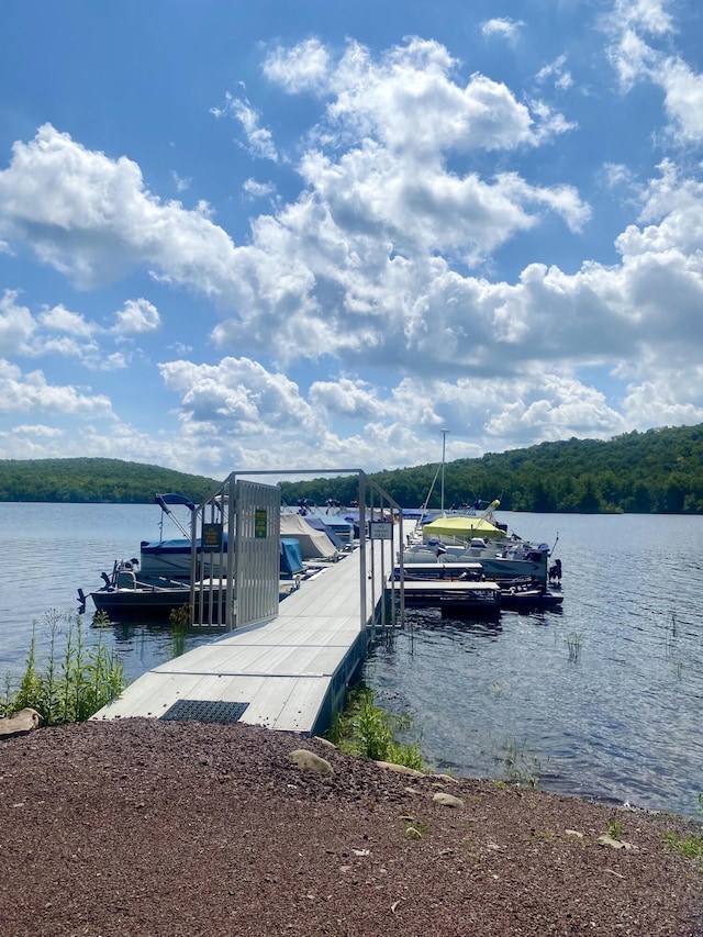 view of dock with a water view