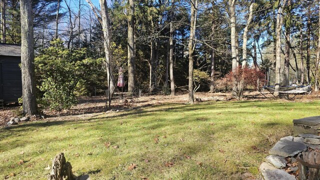 455 Laurel Pine Rd, Cresco, PA 18326 - view of grassy yard