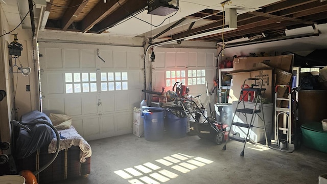 455 Laurel Pine Rd, Cresco, PA 18326 - garage with a garage door opener