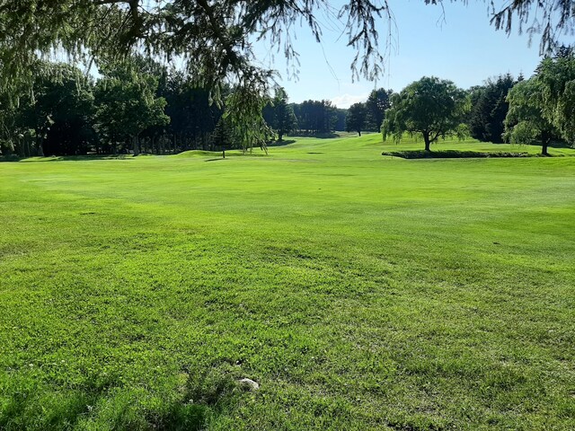 455 Laurel Pine Rd, Cresco, PA 18326 - view of community featuring a yard, view of golf course, and view of scattered trees