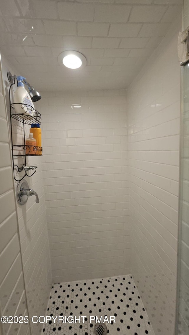 455 Laurel Pine Rd, Cresco, PA 18326 - full bathroom featuring a shower stall