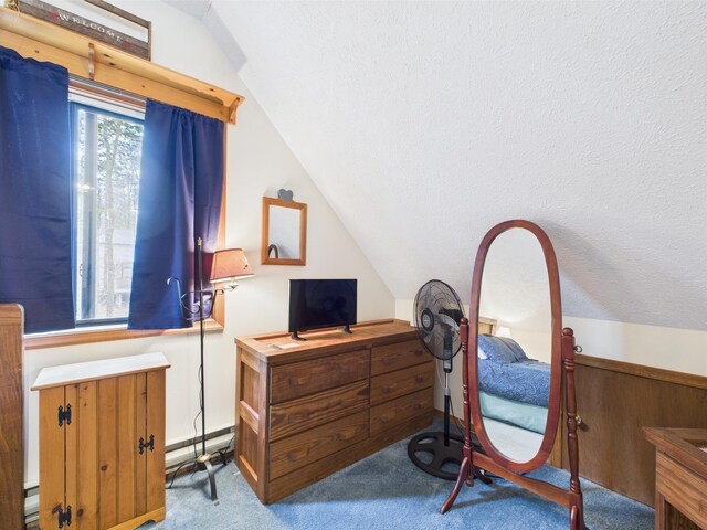 199 Wyomissing Dr, Pocono Lake, PA 18347 - bedroom with carpet flooring, vaulted ceiling, a textured ceiling, and a baseboard heating unit