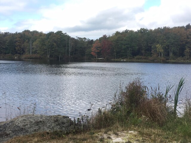 199 Wyomissing Dr, Pocono Lake, PA 18347 - water view featuring a heavily wooded area