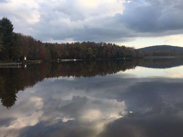 199 Wyomissing Dr, Pocono Lake, PA 18347 - water view with a heavily wooded area
