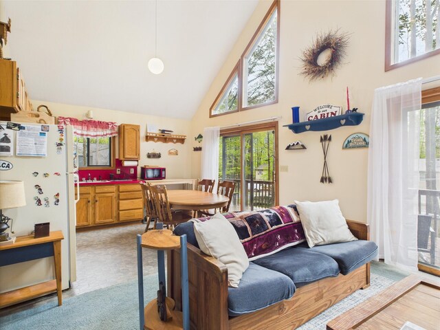 199 Wyomissing Dr, Pocono Lake, PA 18347 - living area with high vaulted ceiling