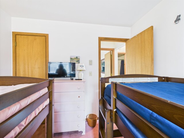 199 Wyomissing Dr, Pocono Lake, PA 18347 - view of bedroom