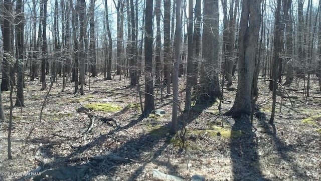 LOT31, 32 Lenape Dr, East Stroudsburg PA, 18302 land for sale