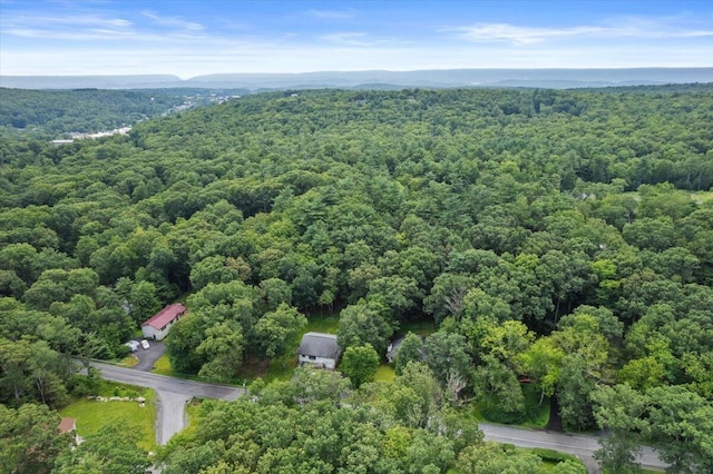 2726 Pocono Cir, Bartonsville, PA 18321 - aerial view of property's location featuring a forest