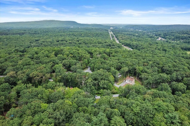 2726 Pocono Cir, Bartonsville, PA 18321 - aerial overview of property's location with a heavily wooded area