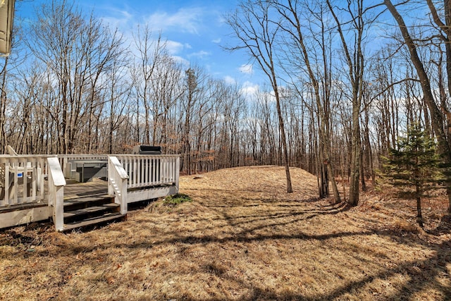 view of yard featuring a wooden deck