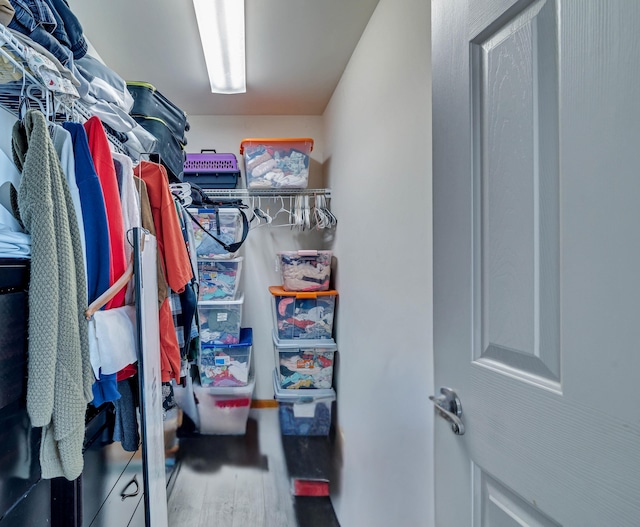 spacious closet featuring wood finished floors