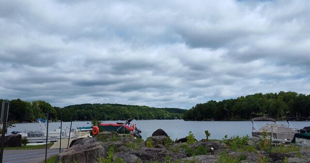 202 Deerfield Rd, Lake Ariel, PA 18436