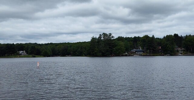 202 Deerfield Rd, Lake Ariel, PA 18436